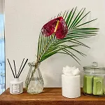 Expat Renting - Le Cocon Nature - Piscine Appartamento *