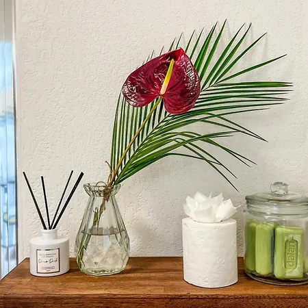 Expat Renting - Le Cocon Nature - Piscine Lägenhet *